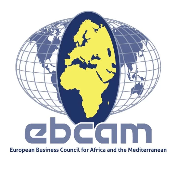 LOGO_EBCAM.jpg