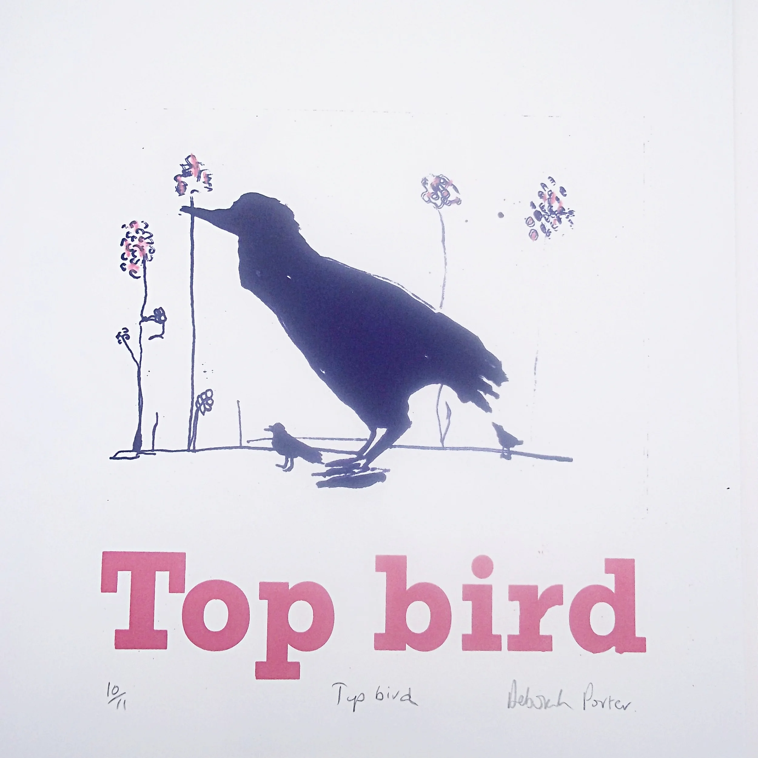 Top bird