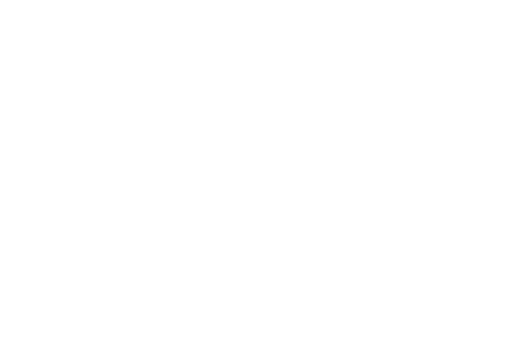 OFFICIAL SELECTION - Courage Film Festival - 2019.png