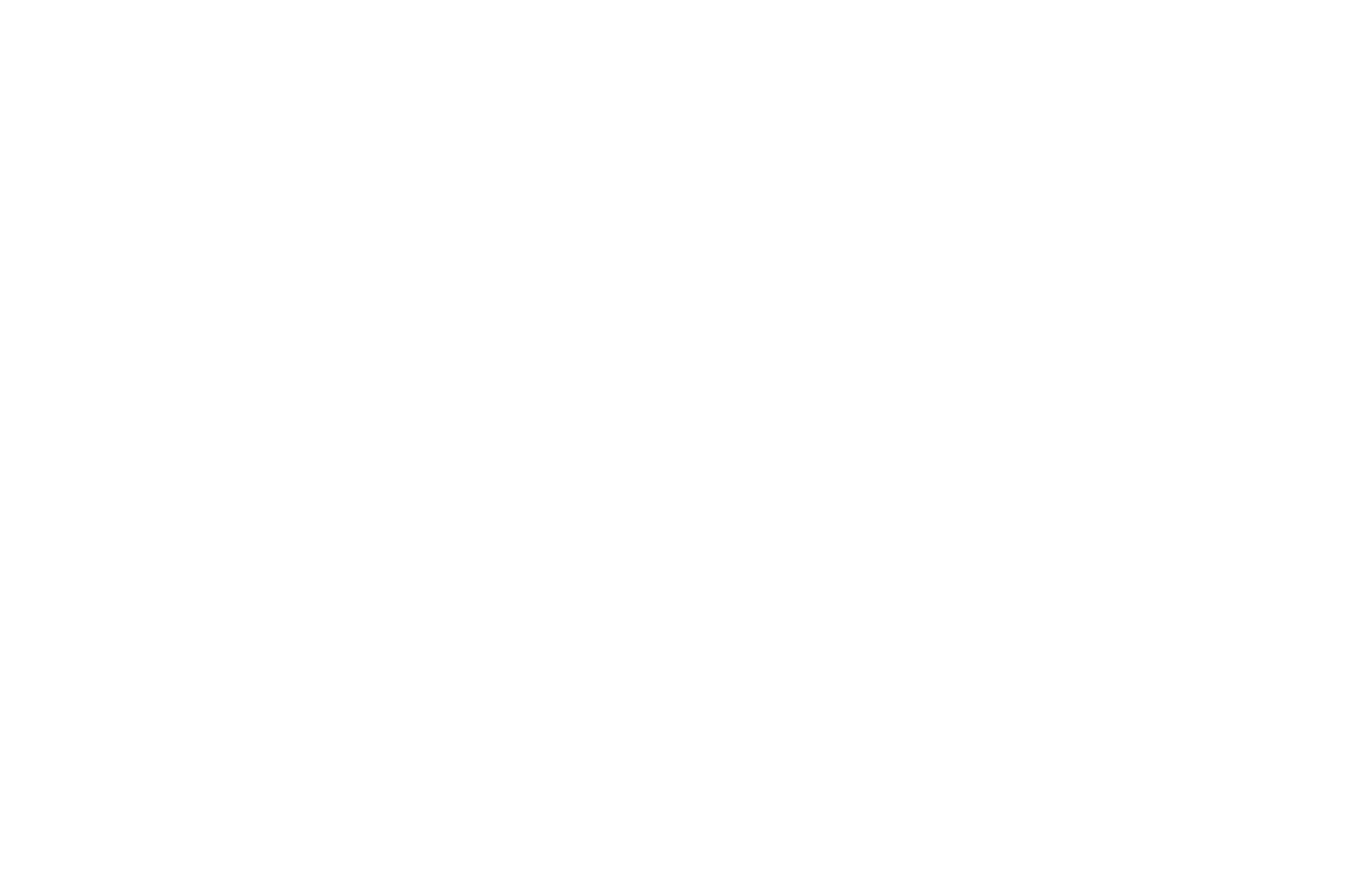 OFFICIAL SELECTION - Docs Without Borders Film Festival - 2017.png