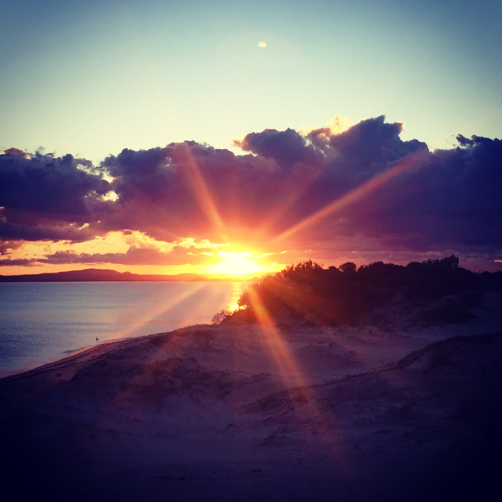 2015-07-11 16.52.18.jpg