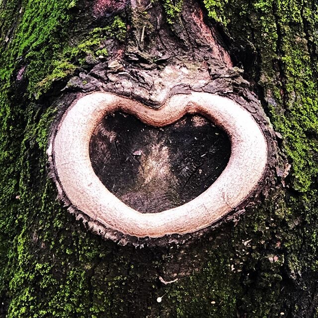Love is everywhere 💚
