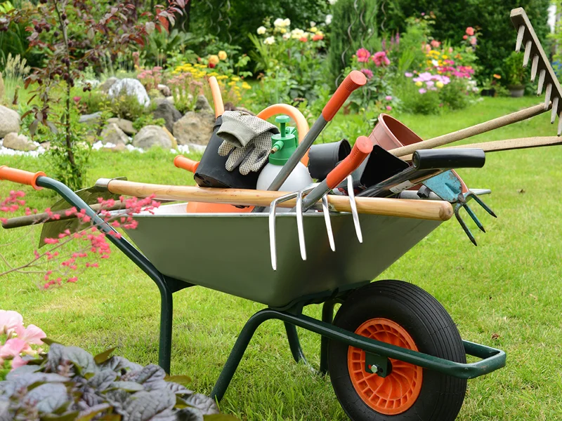 yarkwork-800x600-web.jpg