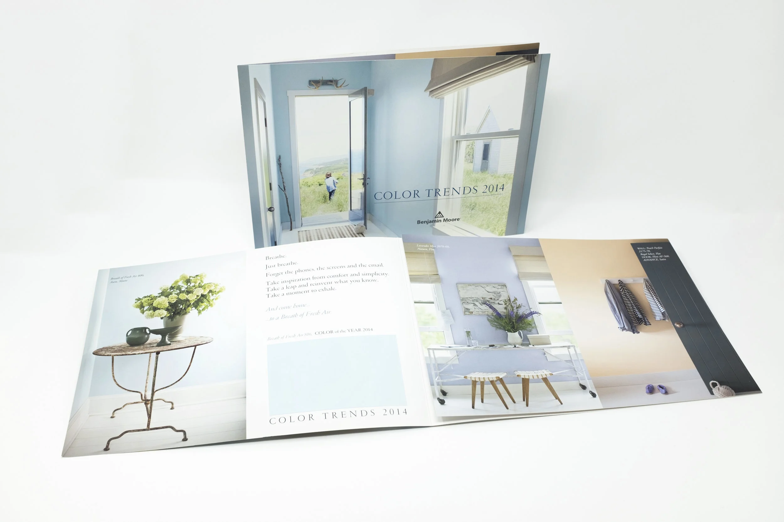 colortrendsLayout2.jpg