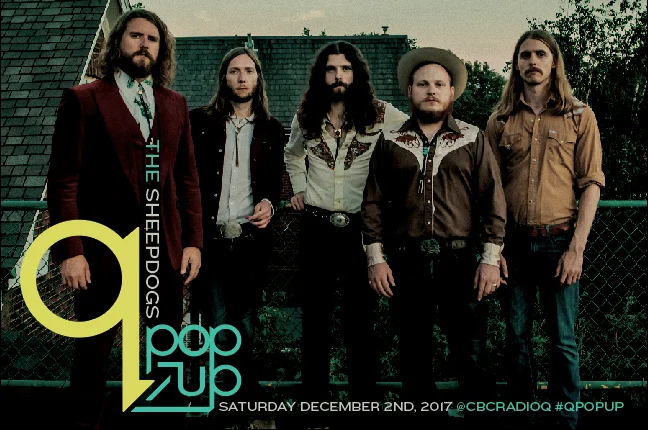 q Pop Up The Sheepdogs