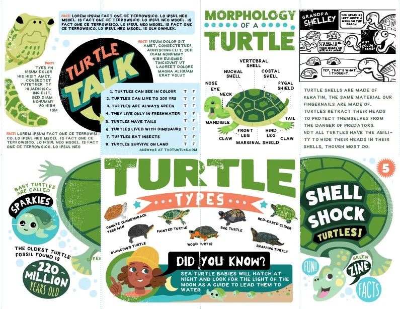 TVO - Proposal for Downloadable, Foldable Science Zine
