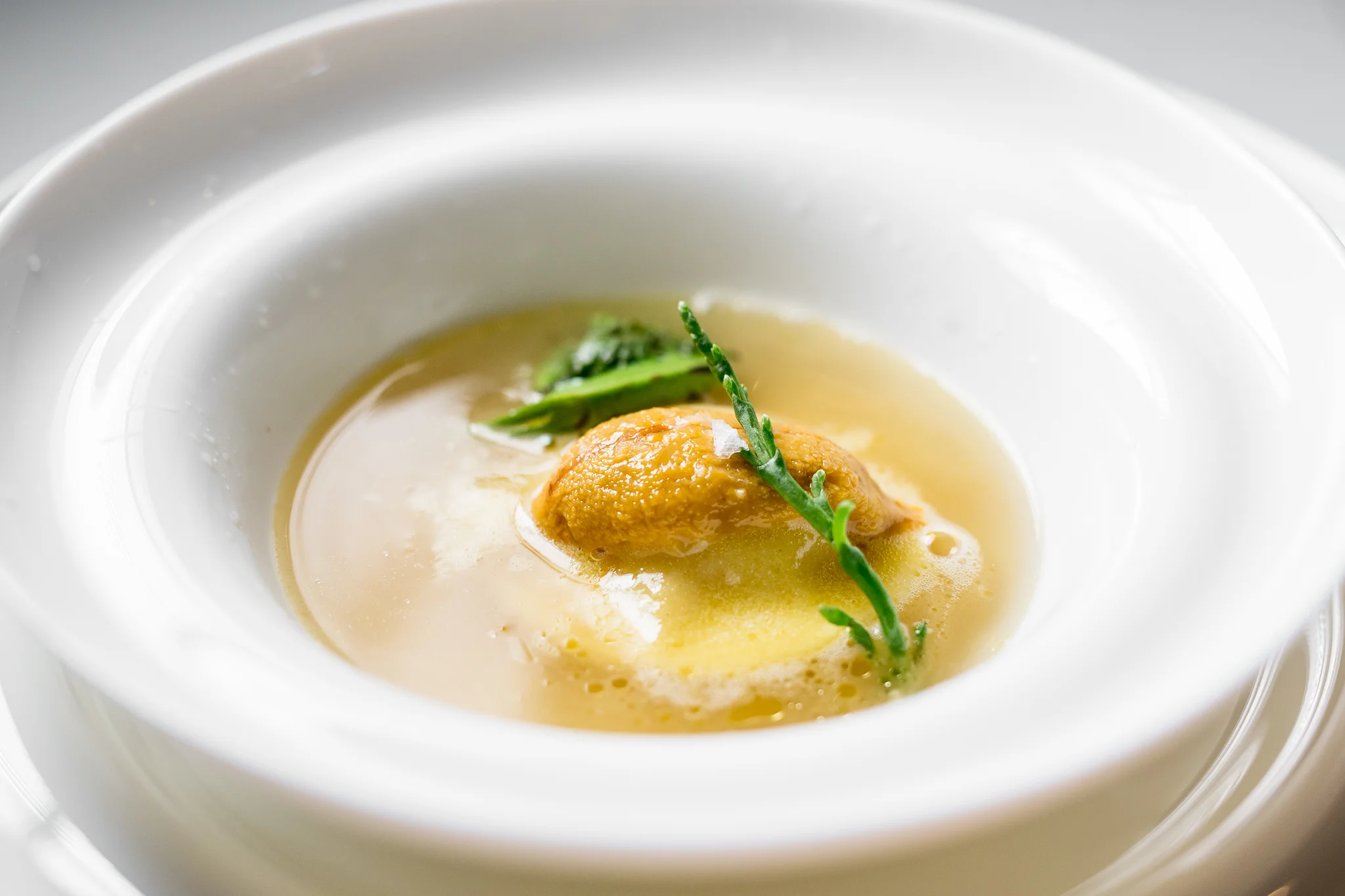 Egg Yolk Ravioli, Local Urchin, Sea Beans, Fiddlehead Fern, Shellfish Consommé