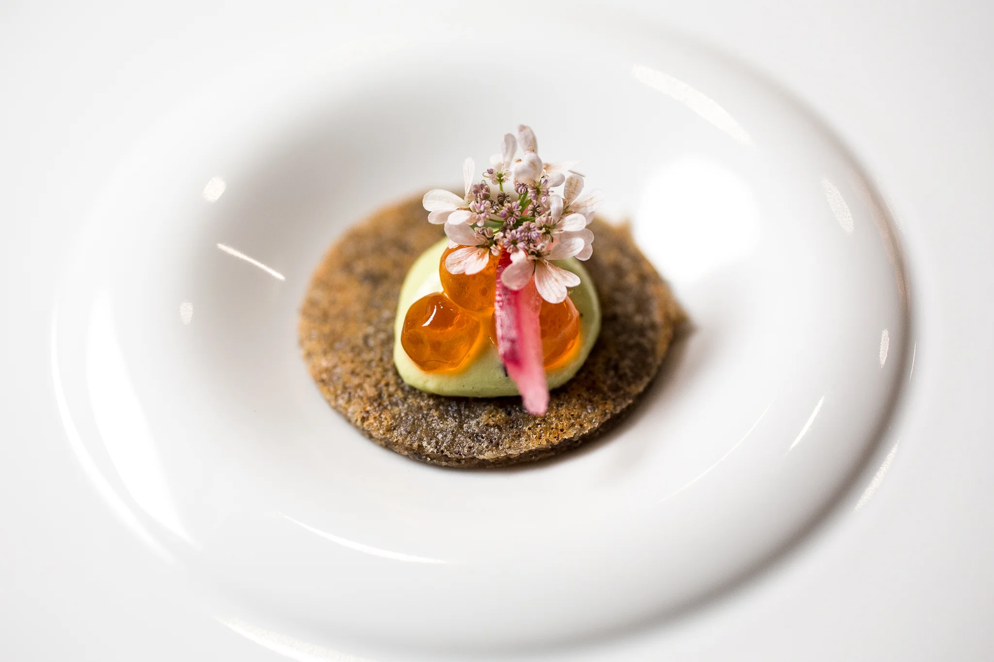 « Avocado Toast » Masa Blini, Salmon Roe, Avocado Crème Fraîche, Pickled Onions, Coriander