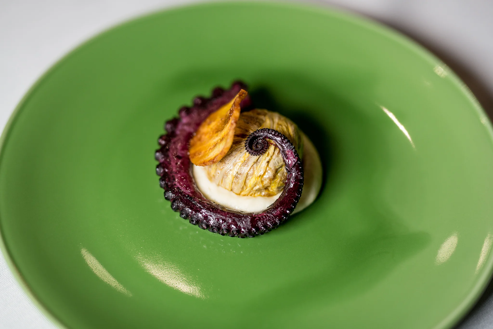 Hibiscus-Poached Octopus, Cochinita Chou Farci, Celery Root
