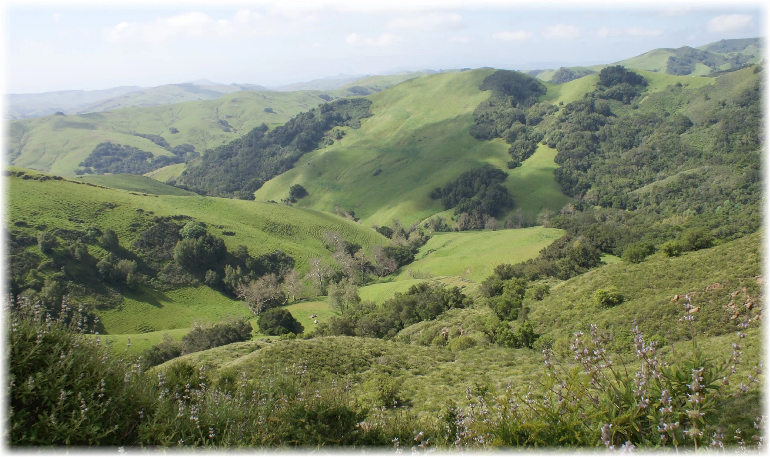 templetongap-hills-adj.jpg
