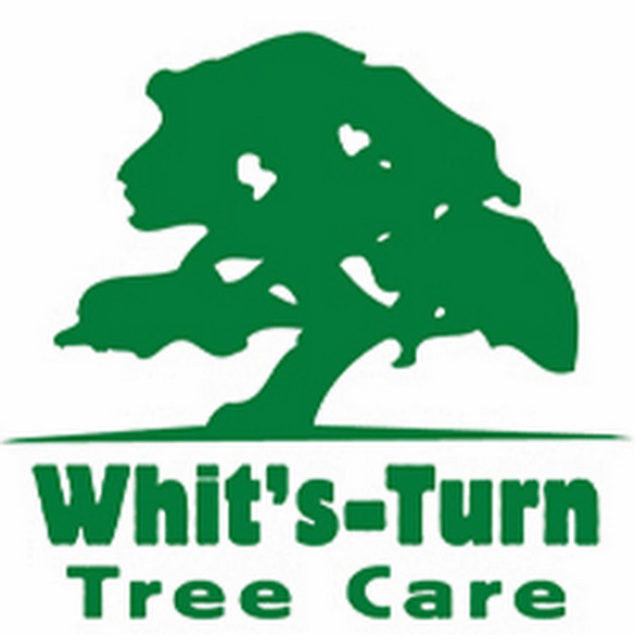 Whit's logo.jpg