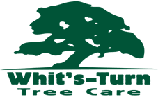 Whit's Turn Tree logo.png