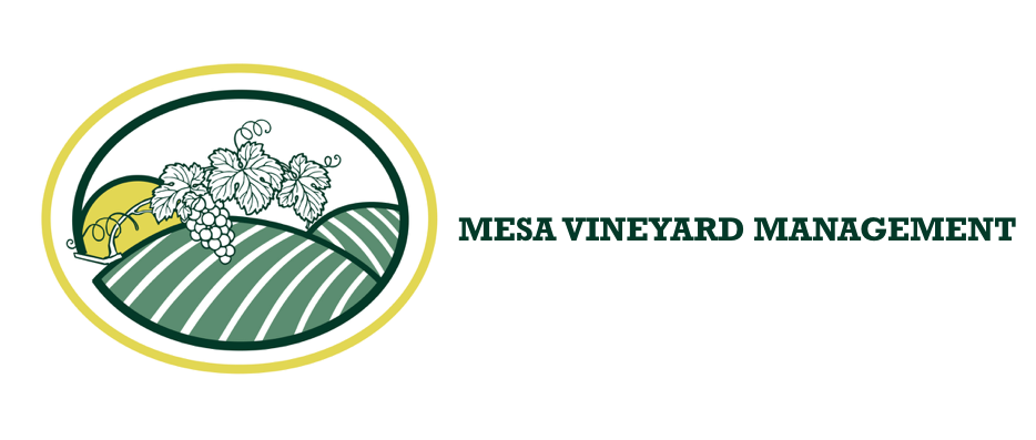 Mesa-Website-Logo-2.png