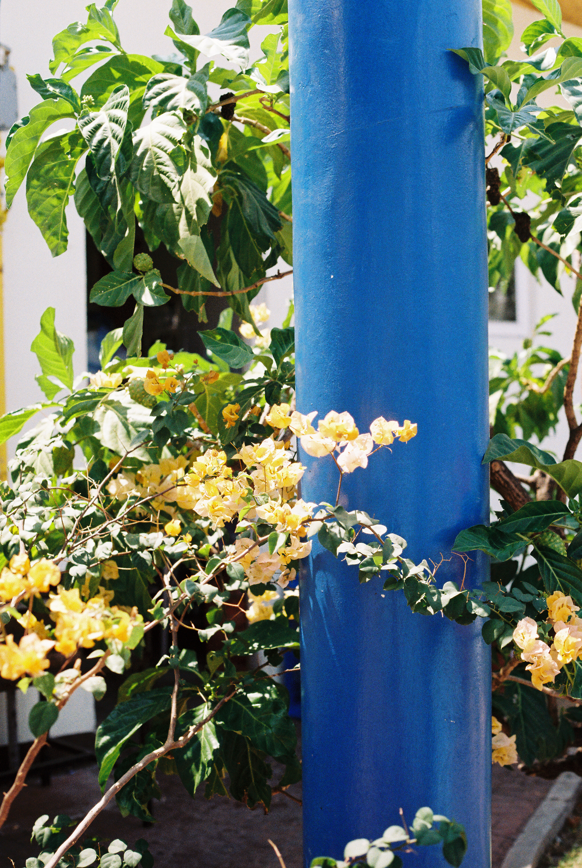 film El Salvador photo diary.