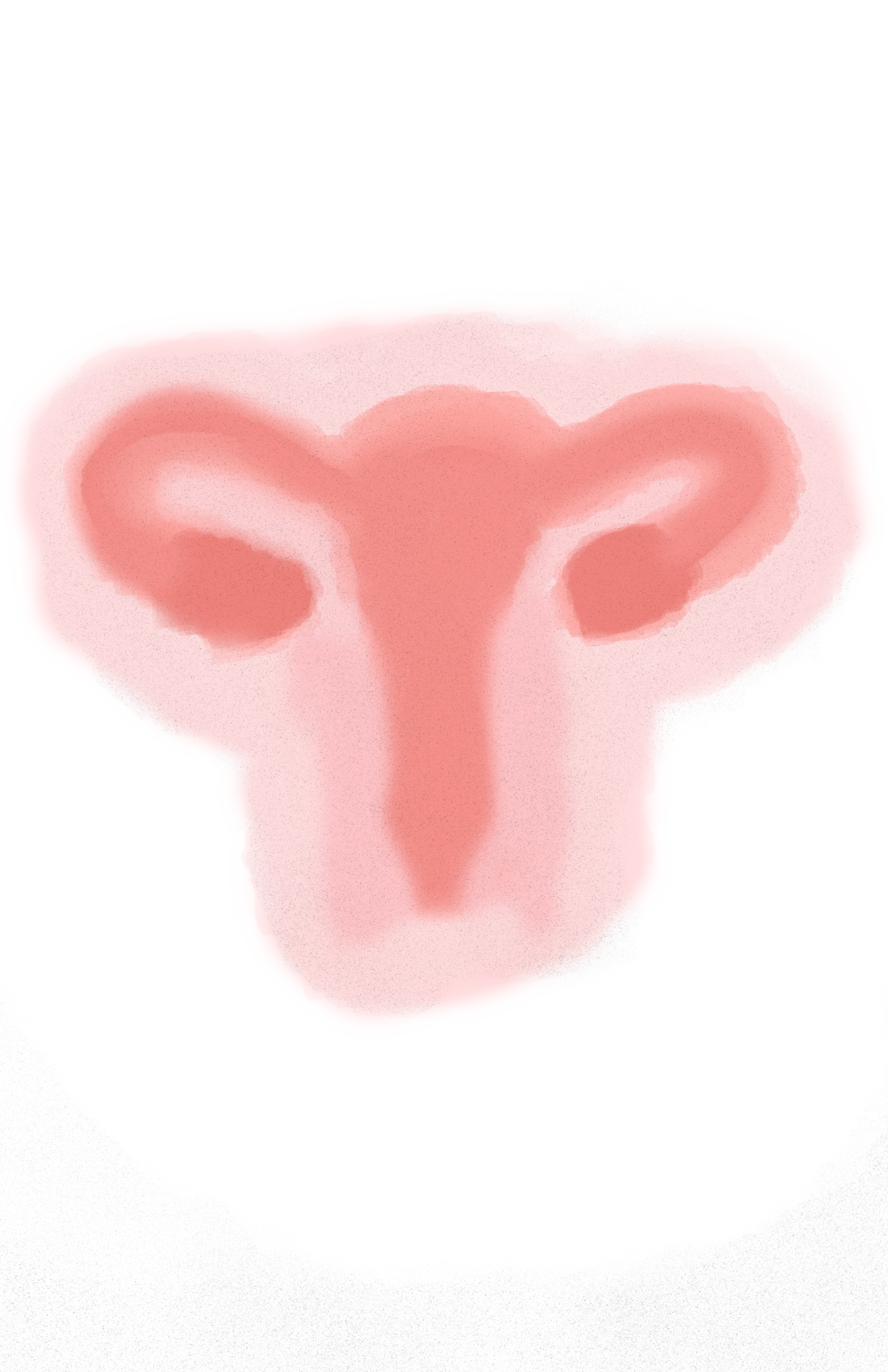 Ovaries.png