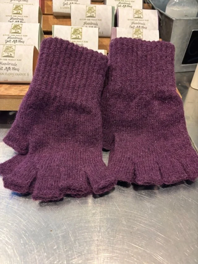 Fingerless Gloves.jpg
