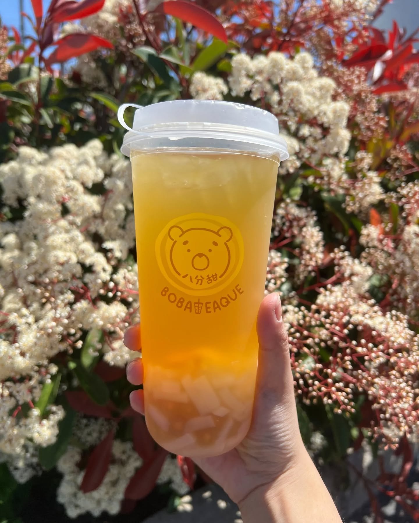 Enjoy Spring Break with the return of our Lychee Green Tea! Make it extra refreshing by adding our Lychee Jelly to it... Back for a limited time only!

#lycheegreentea #springflower #lycheejelly #fruittea #水果茶 #荔枝綠茶