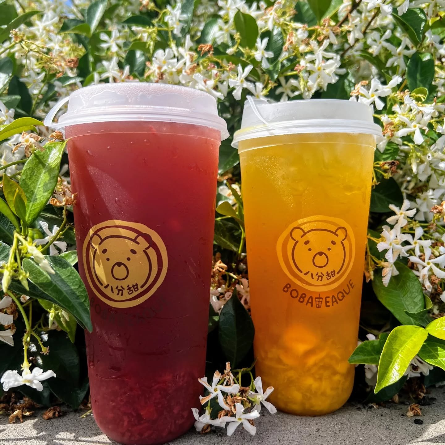 It isn't summer without strawberries and mangos! 
.
.
.
#strawberryblacktea #strawberrytea #mangogreentea #mangotea #fruittea #summerflavors #summerseasonal #草莓紅茶 #芒果綠茶