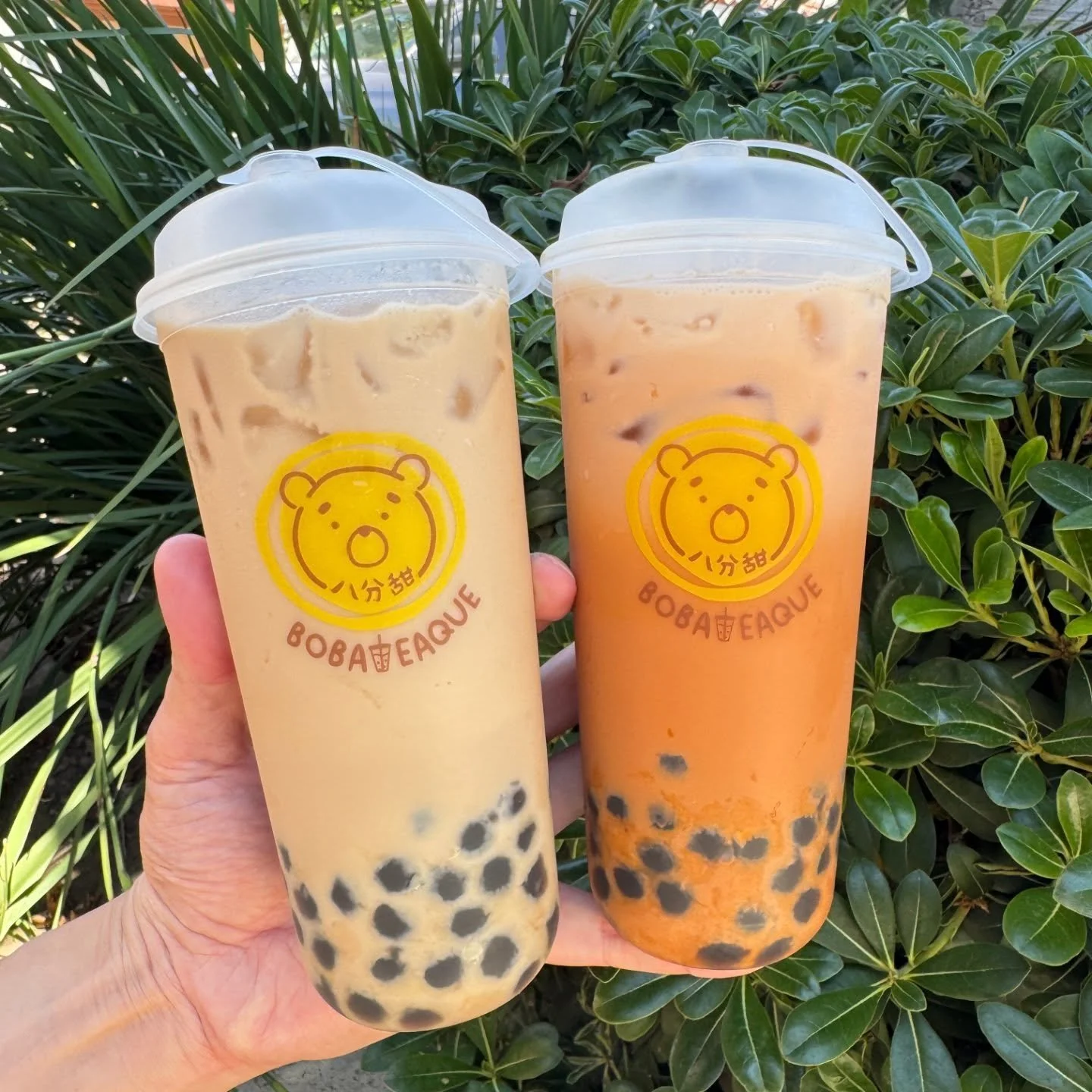 Sippin' on sunshine and boba! ☀️ Milk Tea or Thai Tea, which one are you grabbing? 😎
.
.
.
#boba #milktea #thaitea #bubbletea #bobamilktea #tapiocamilktea #pearlmilktea #thaiteaboba #珍珠奶茶 #波霸奶茶 #泰式奶茶 #奶茶