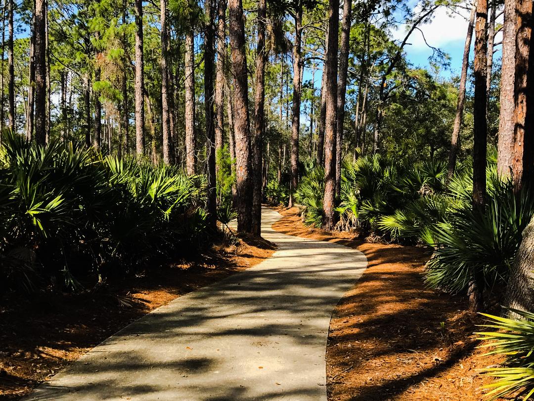 trail 12.jpg