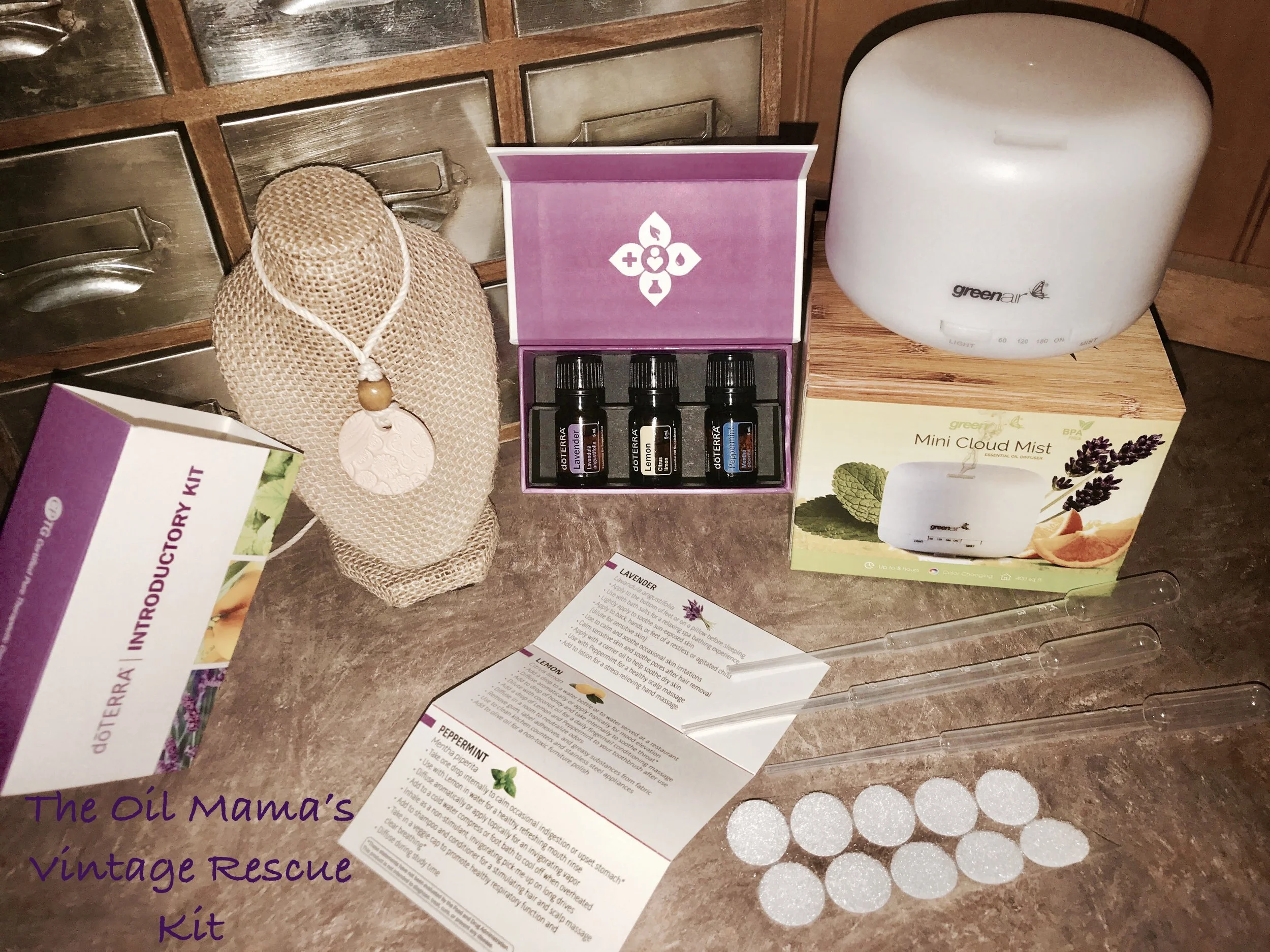 VINTAGE RESCUE STARTER KIT (A CAREGIVER'S STARTER PACKAGE)