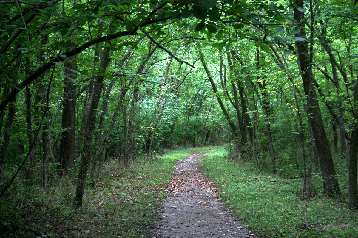 best-hiking-trails-in-nj-buttermilk-falls.jpg