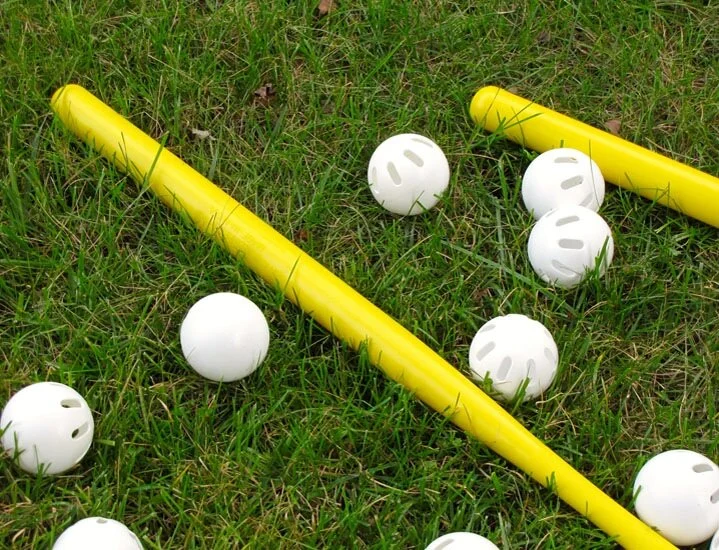 Wiffle Ball Tournament
