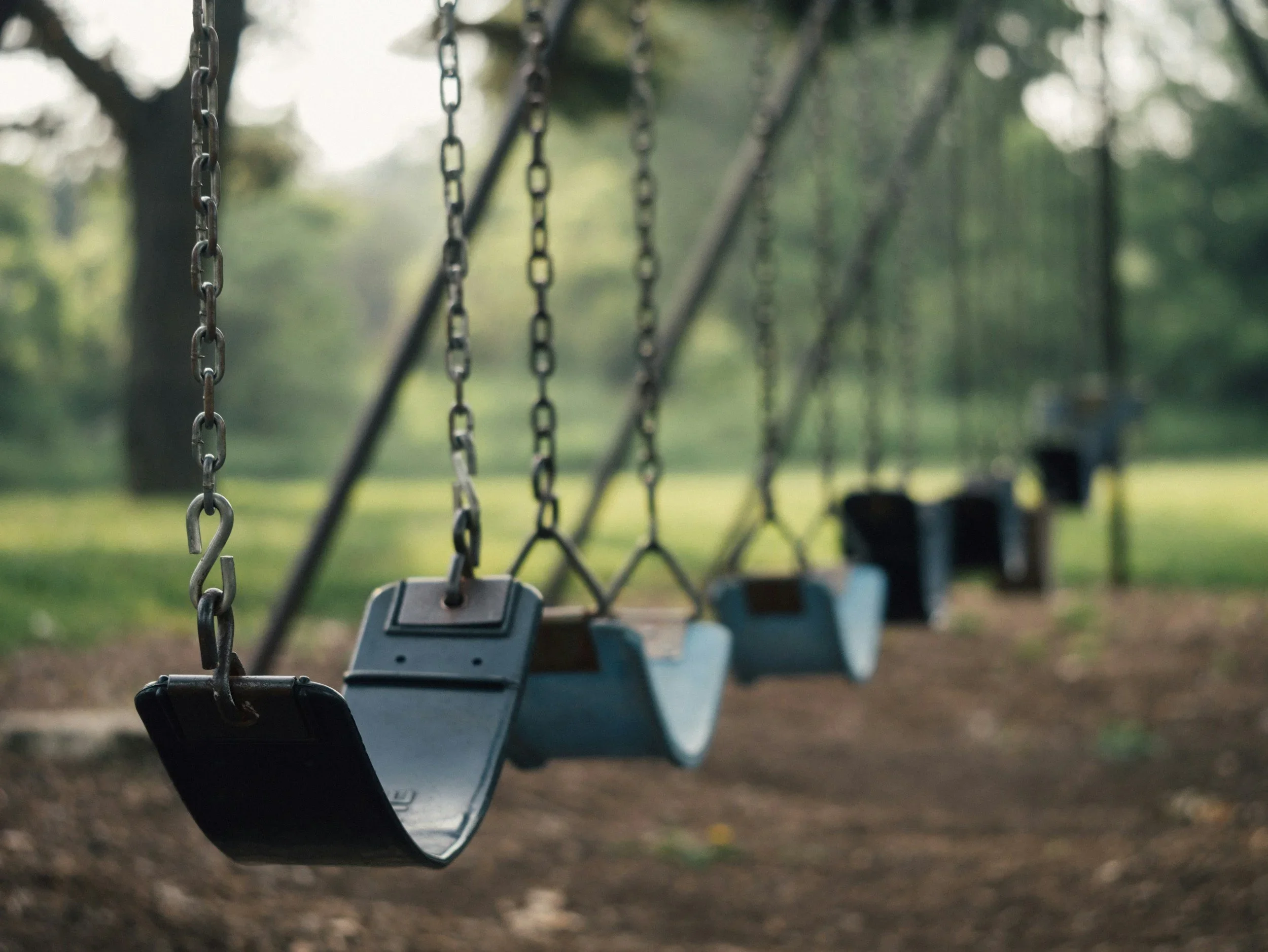 Meet Me at the Park
