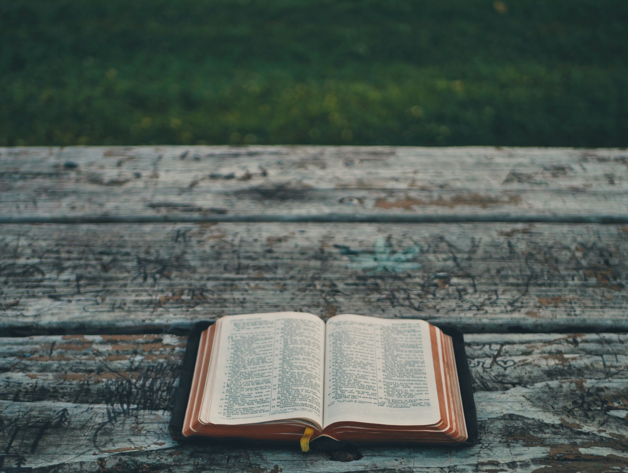 Women's Online Bible Study