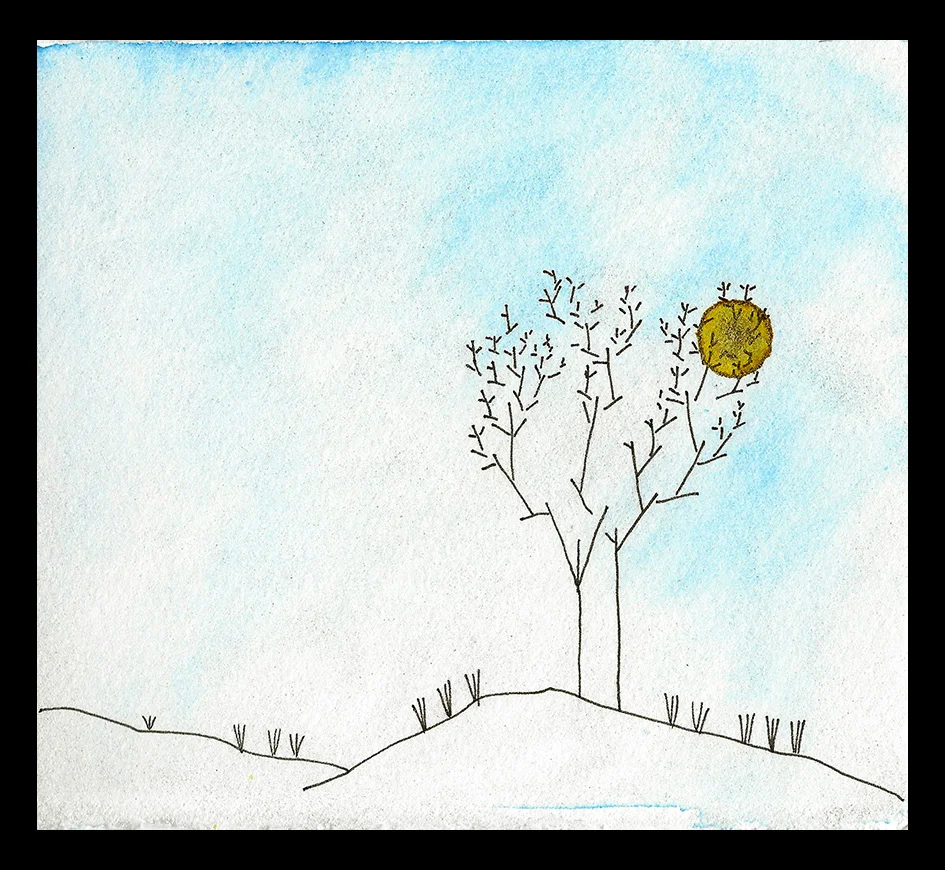 Winter Sun, 5 x 6"