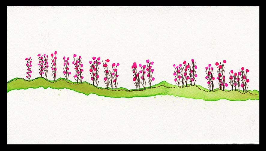 July Fireweed, 3 x 4"