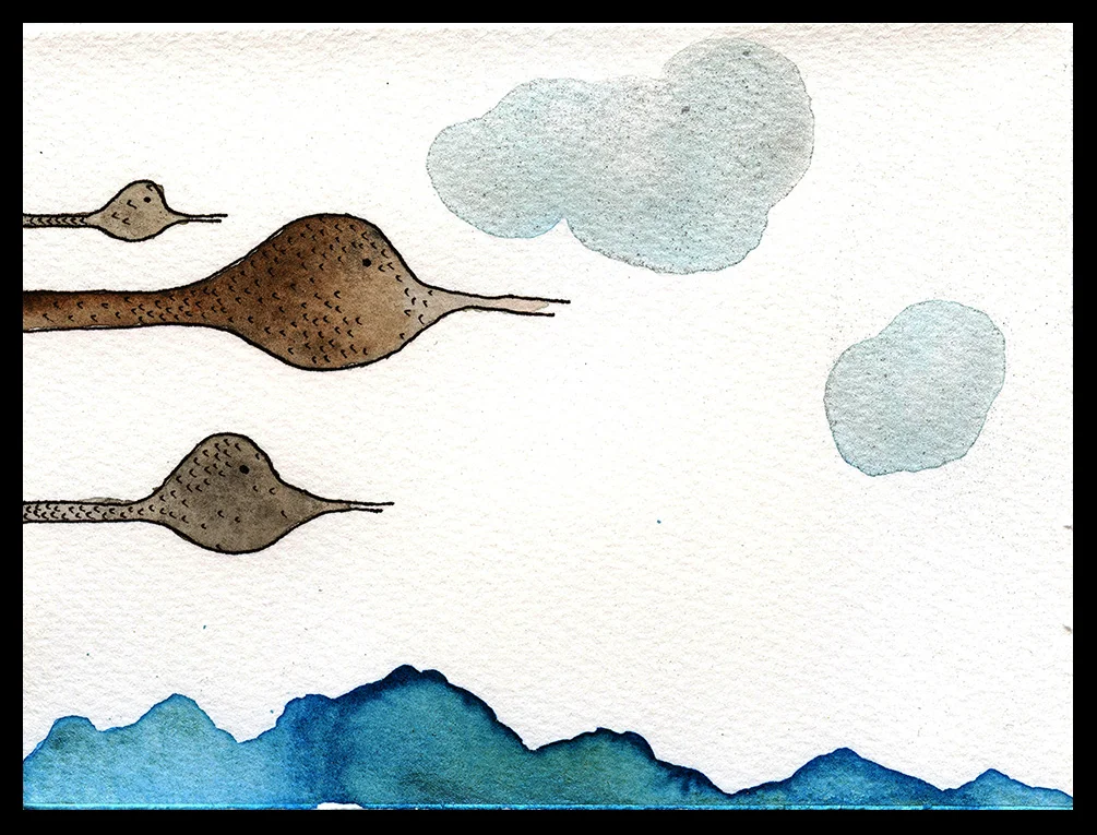 Snow Geese, 3 x 4", SOLD