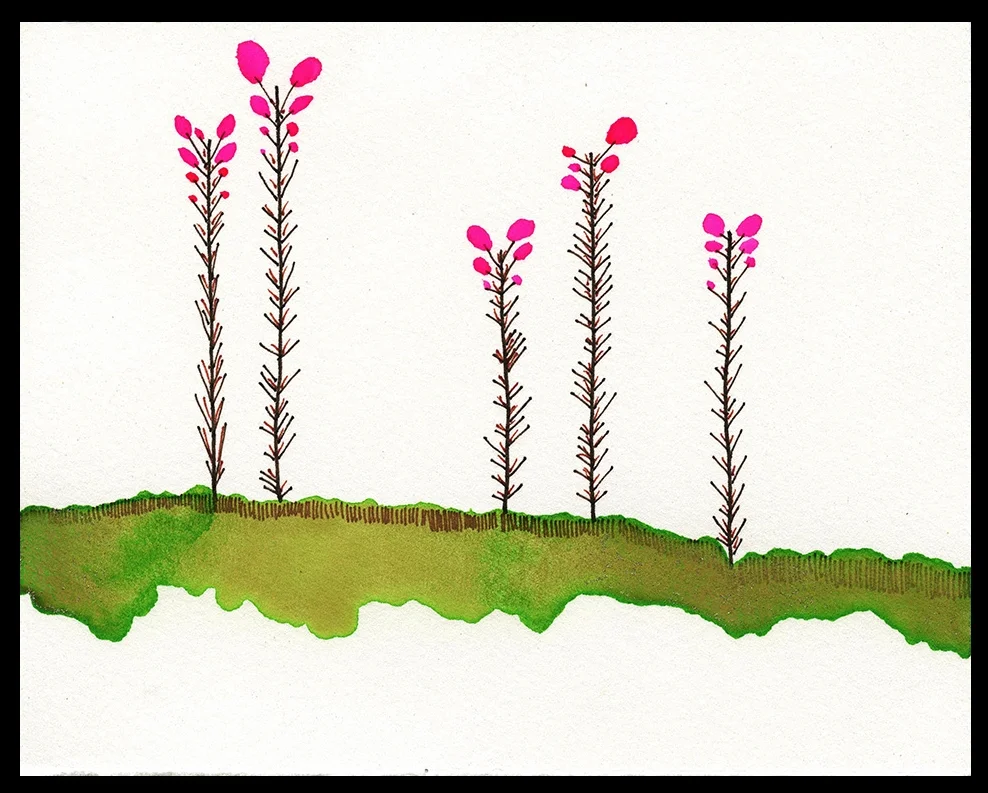 August Fireweed, 5 x 6", SOLD