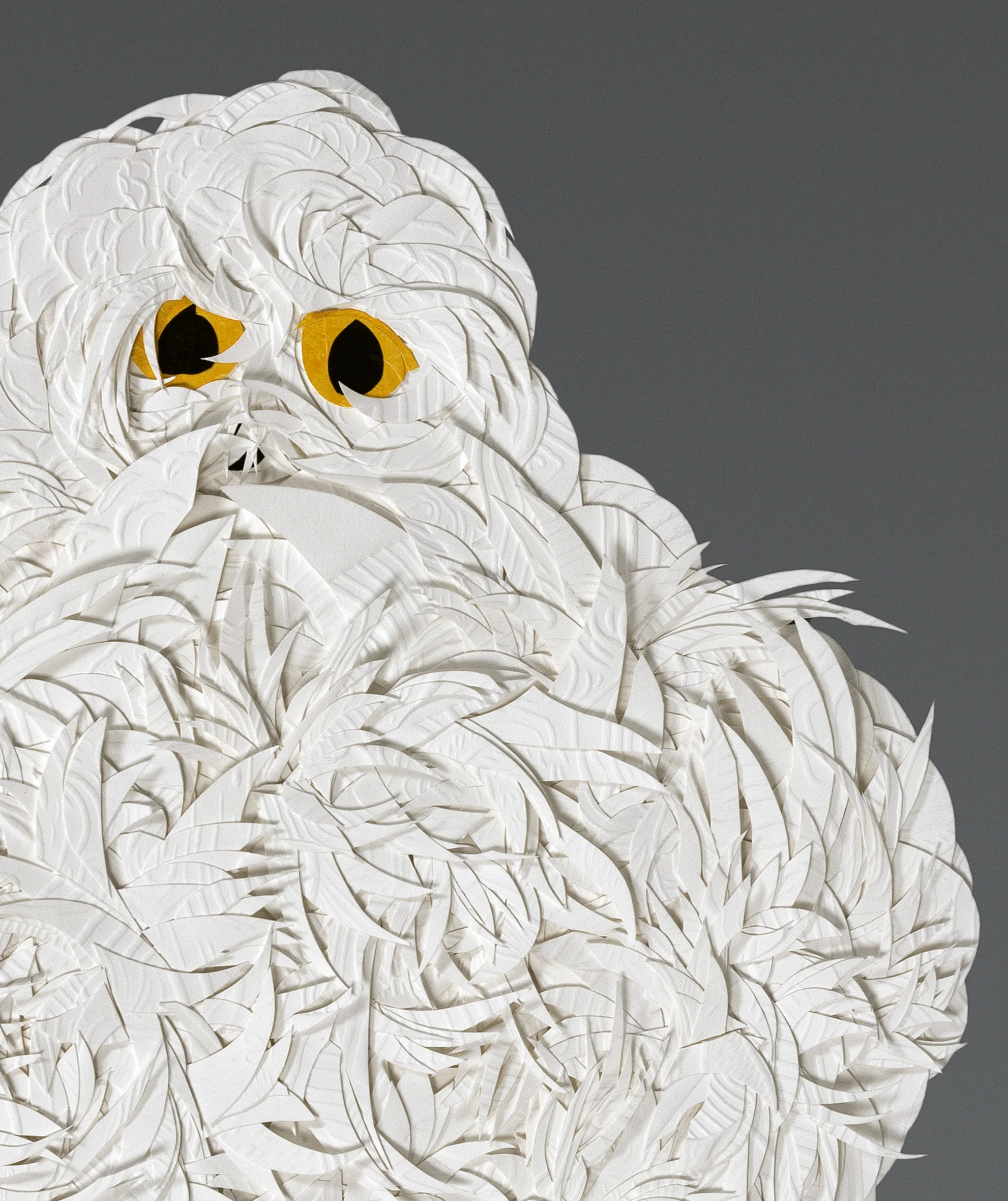 Johnson_Owl_detail.jpg