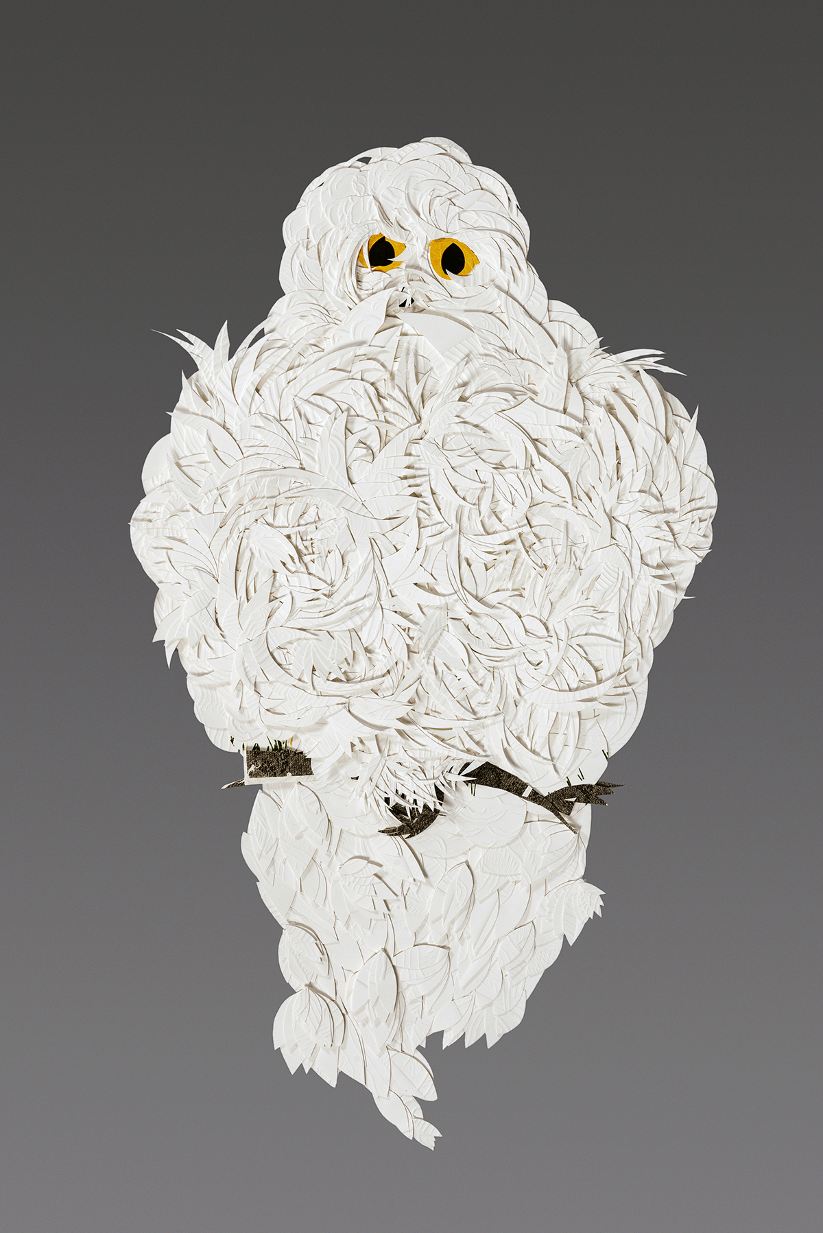 Owl, 36 x 16 x 1"