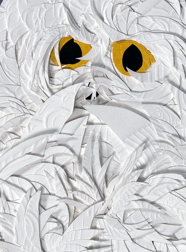 owldetail.jpg
