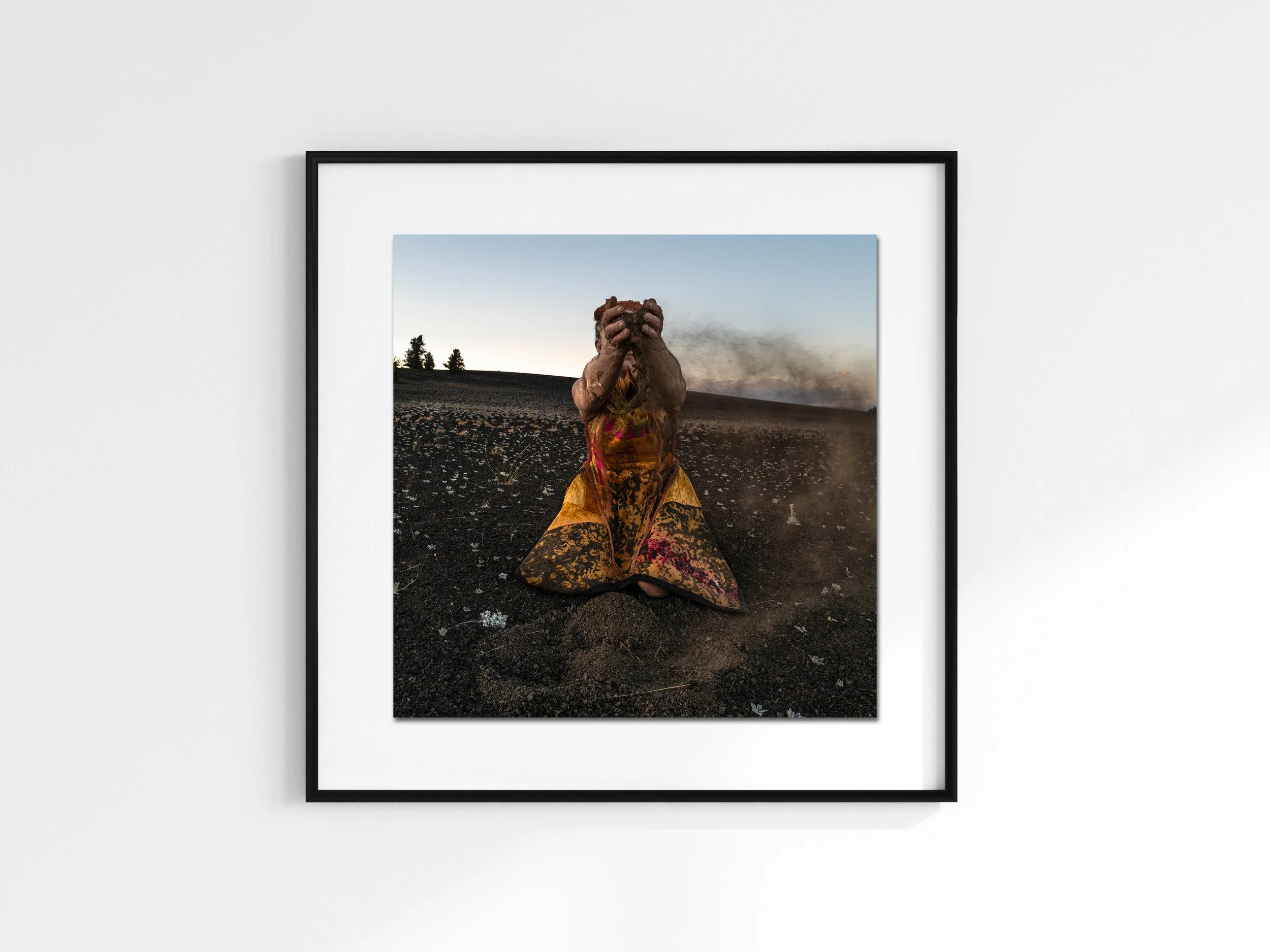 plume_framed.jpg