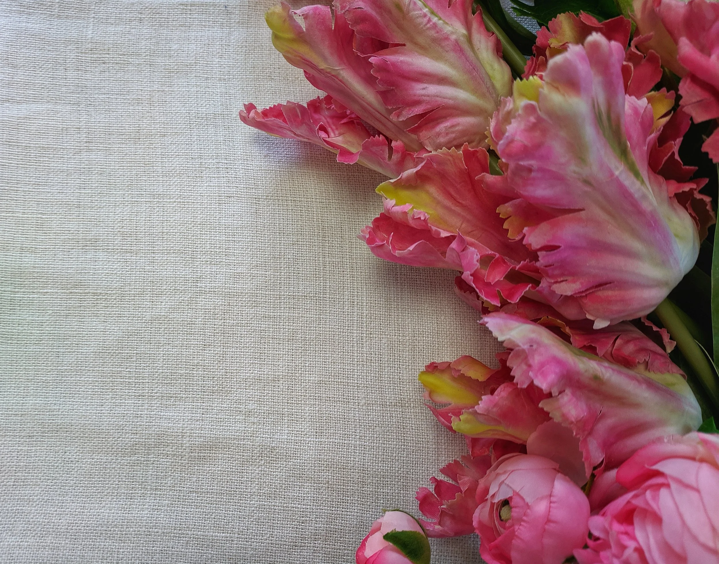 Dempsey White Throw | Amity Home.jpg