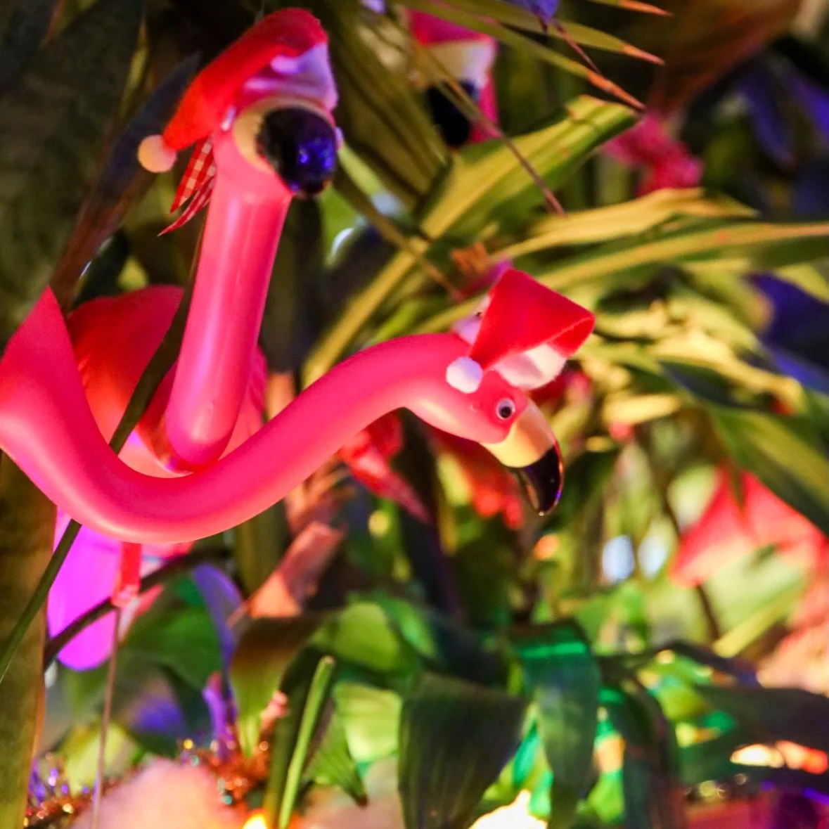 Sleigh Love BRUNCH! 🍳⭐️
SAT &amp; SUN 10AM-3PM 💋