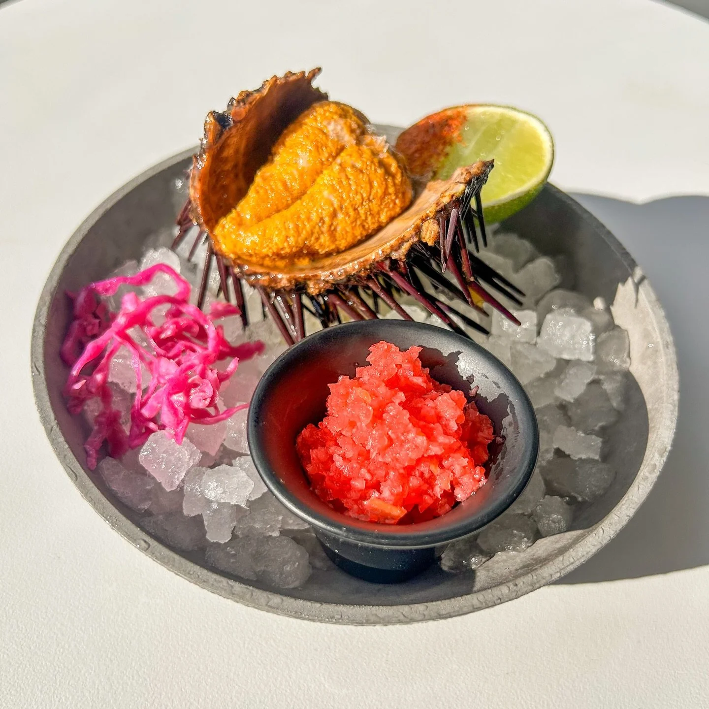 ⭐️ ESPECIAL! ⭐️
Oregon Red Urchin

Oregon farmed Red Sea urchin, radish salsa, crispy blue corn tortillas.  Served in a half shell.

Specials thanks to @oonee_searanch for providing the freshest Urchin!