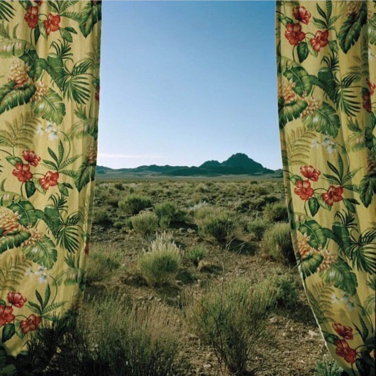 Our dear friend &amp; staff member Anton needs us. Following a severe accident, he is beginning a long journey toward recovery. Anton has given so much joy to the Portland scene; now, we want to give back to him.

We&rsquo;re raising funds to help hi