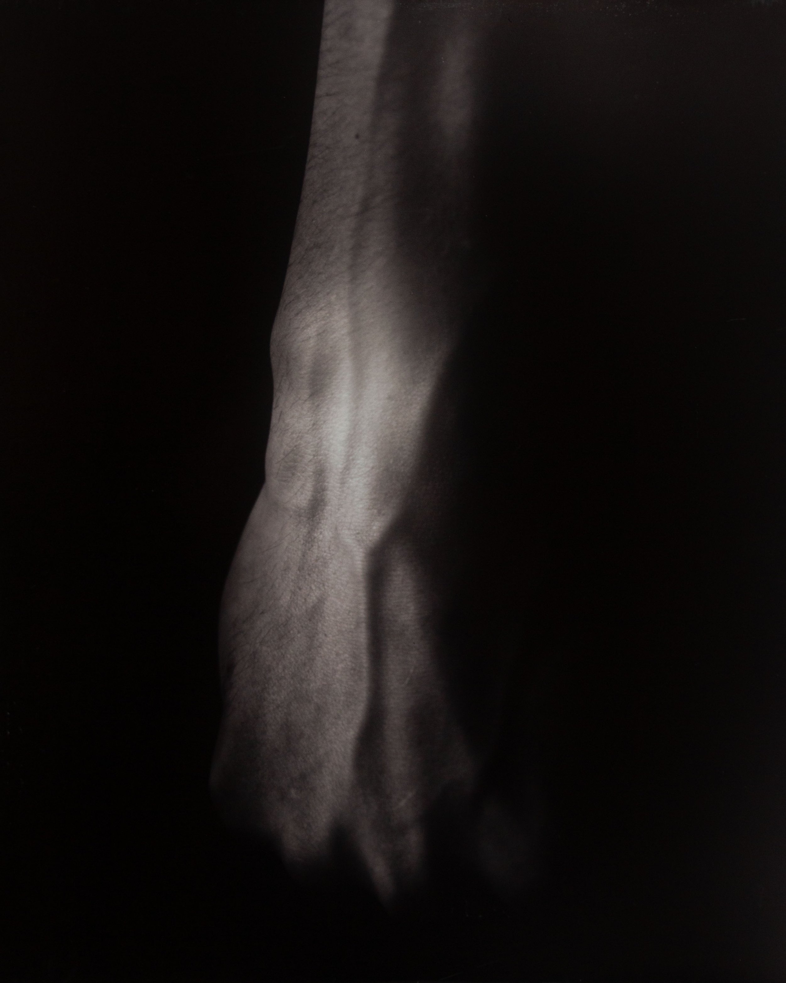 Tension 20×24 Selenium-Toned Silver Gelatin Print 2024 1/2