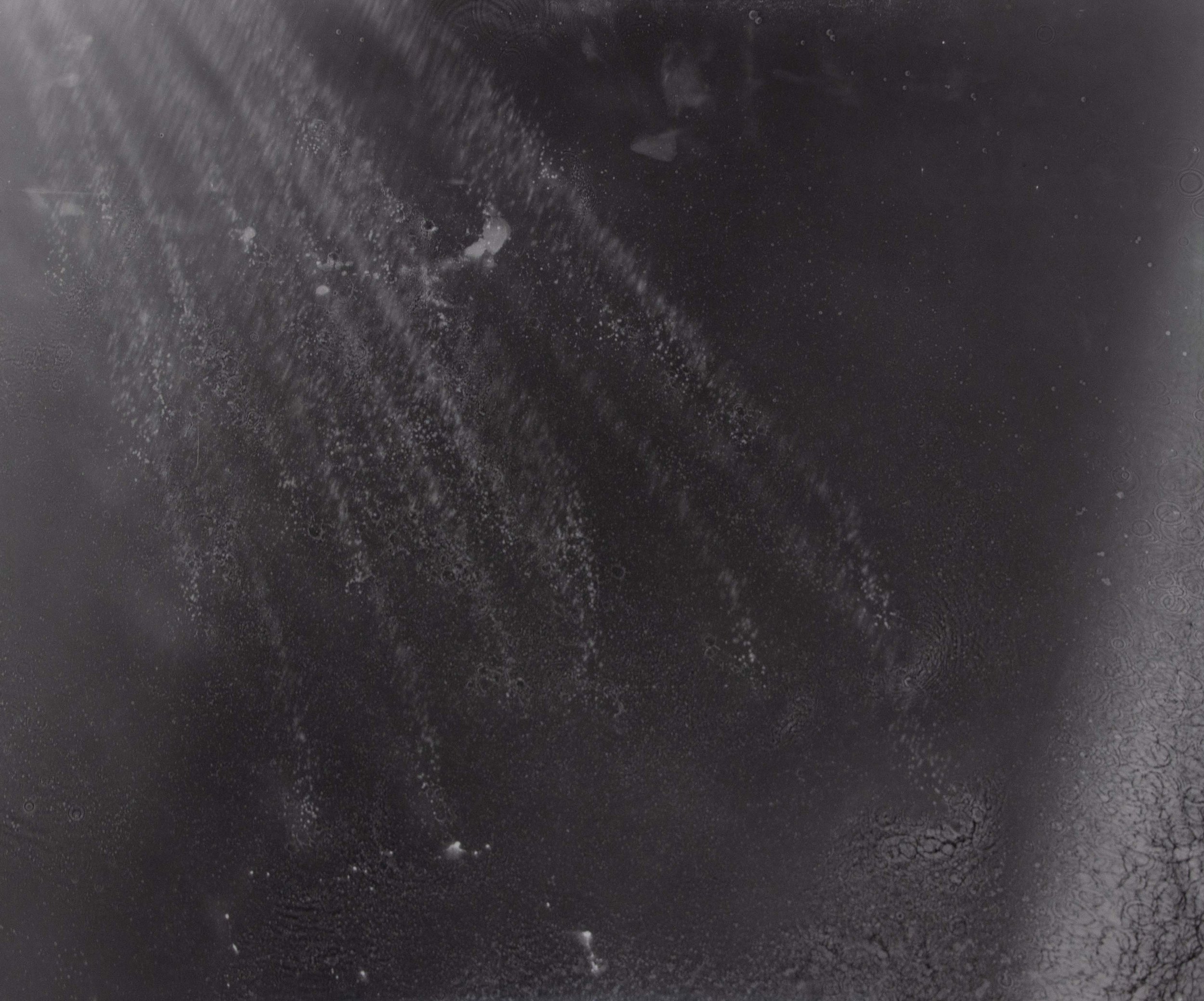 Swarm 27×32.5” Selenium-Toned Silver Gelatin Print 2025 1/1