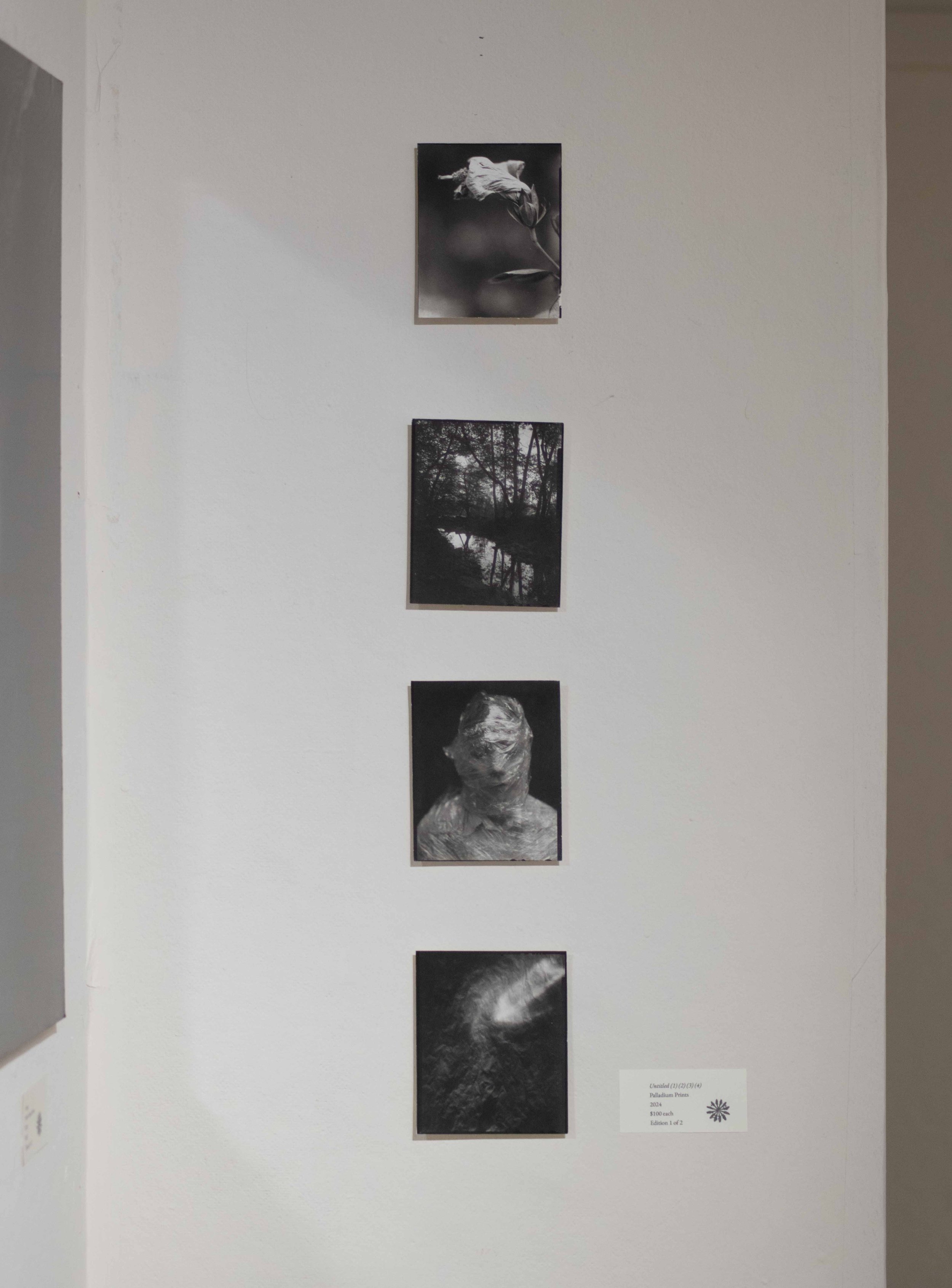 4×5” Palladium Prints 2024