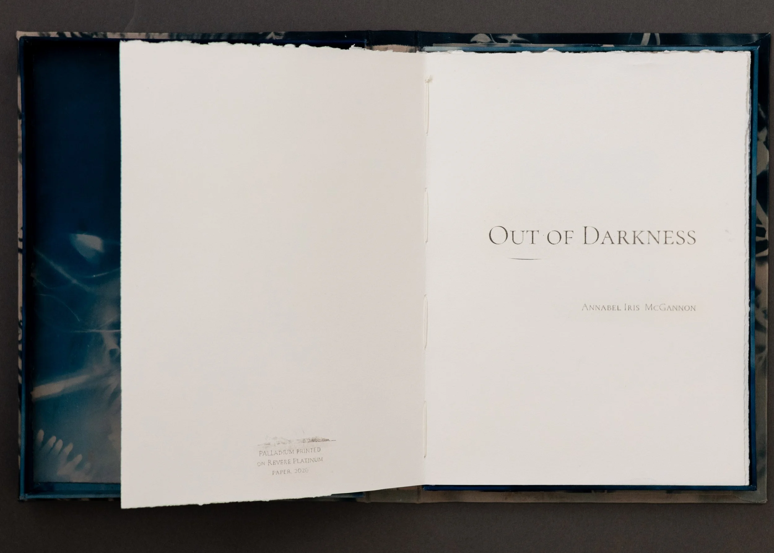Out of Darkness Book-1.jpg