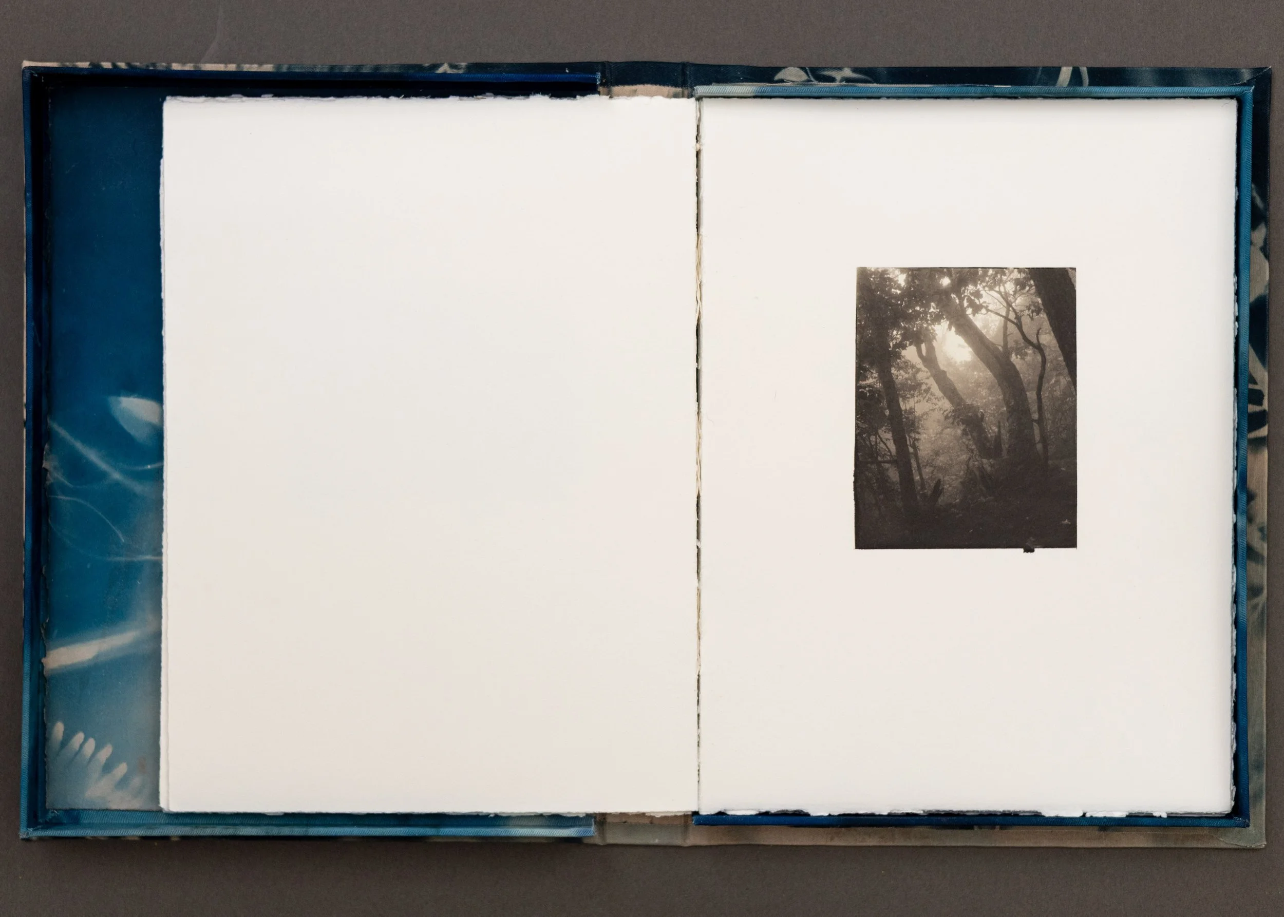 Out of Darkness Book-14.jpg
