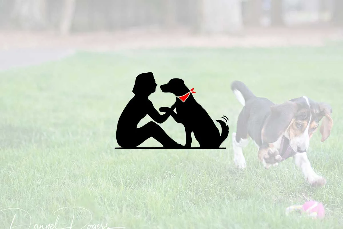 Wag to my Heart Photography