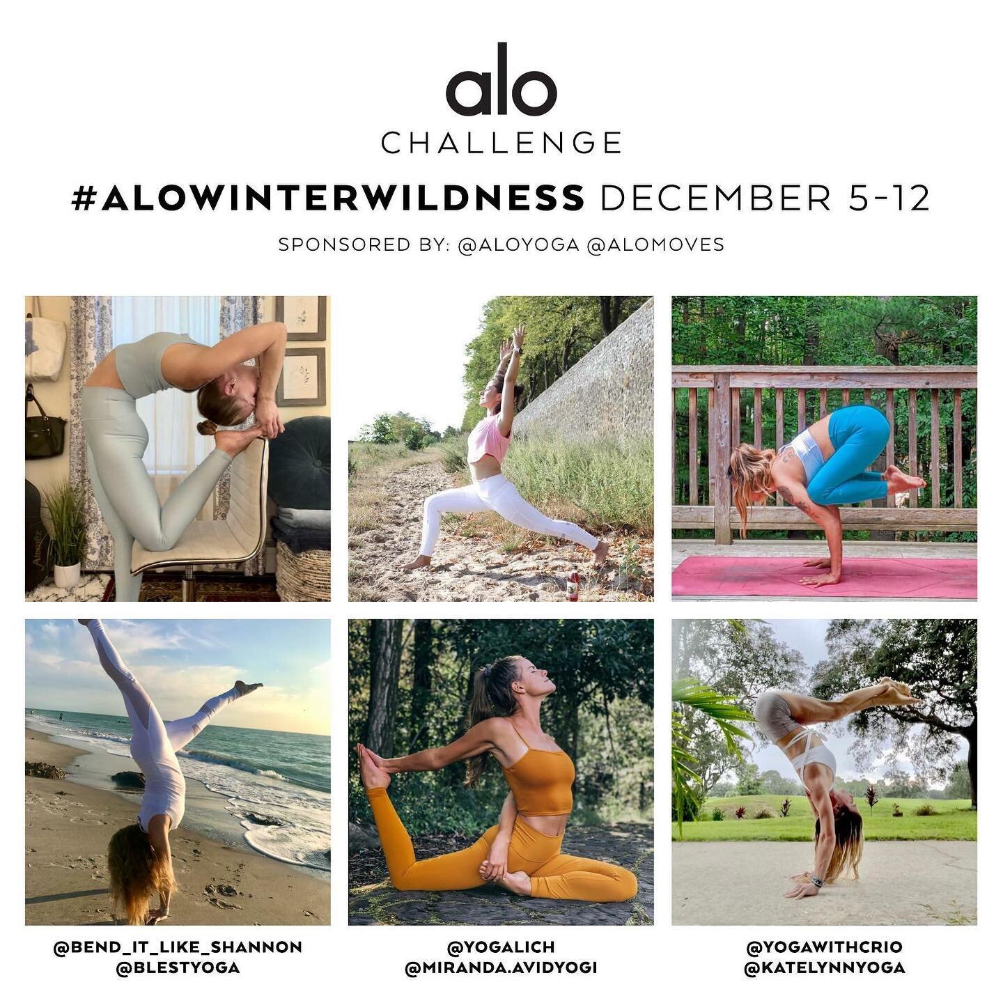 ✨📣 WILD CHALLENGE ANNOUNCEMENT 📢 ✨

Let's get WILD this winter 🤍❄️

#ALOWinterWildness ~ December 5-12 

It may be a winter wonderland outside but we are building up our own fires and getting wild inside. ❤️

Join us as we infuse some heat into ou