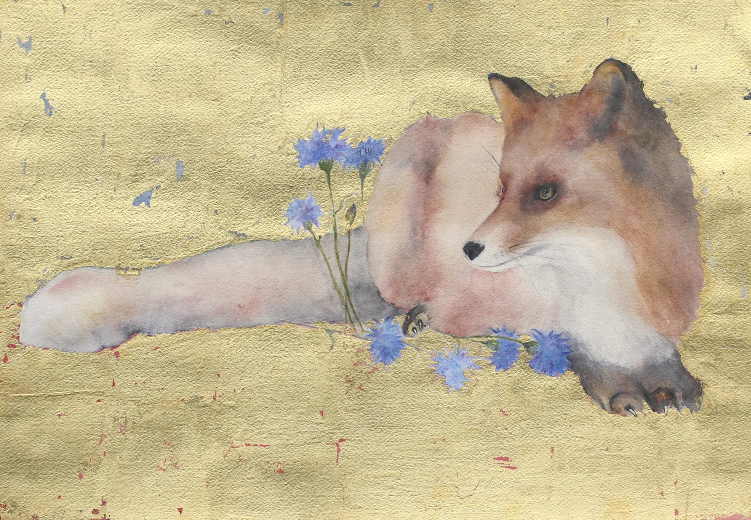 1500 fox.jpg