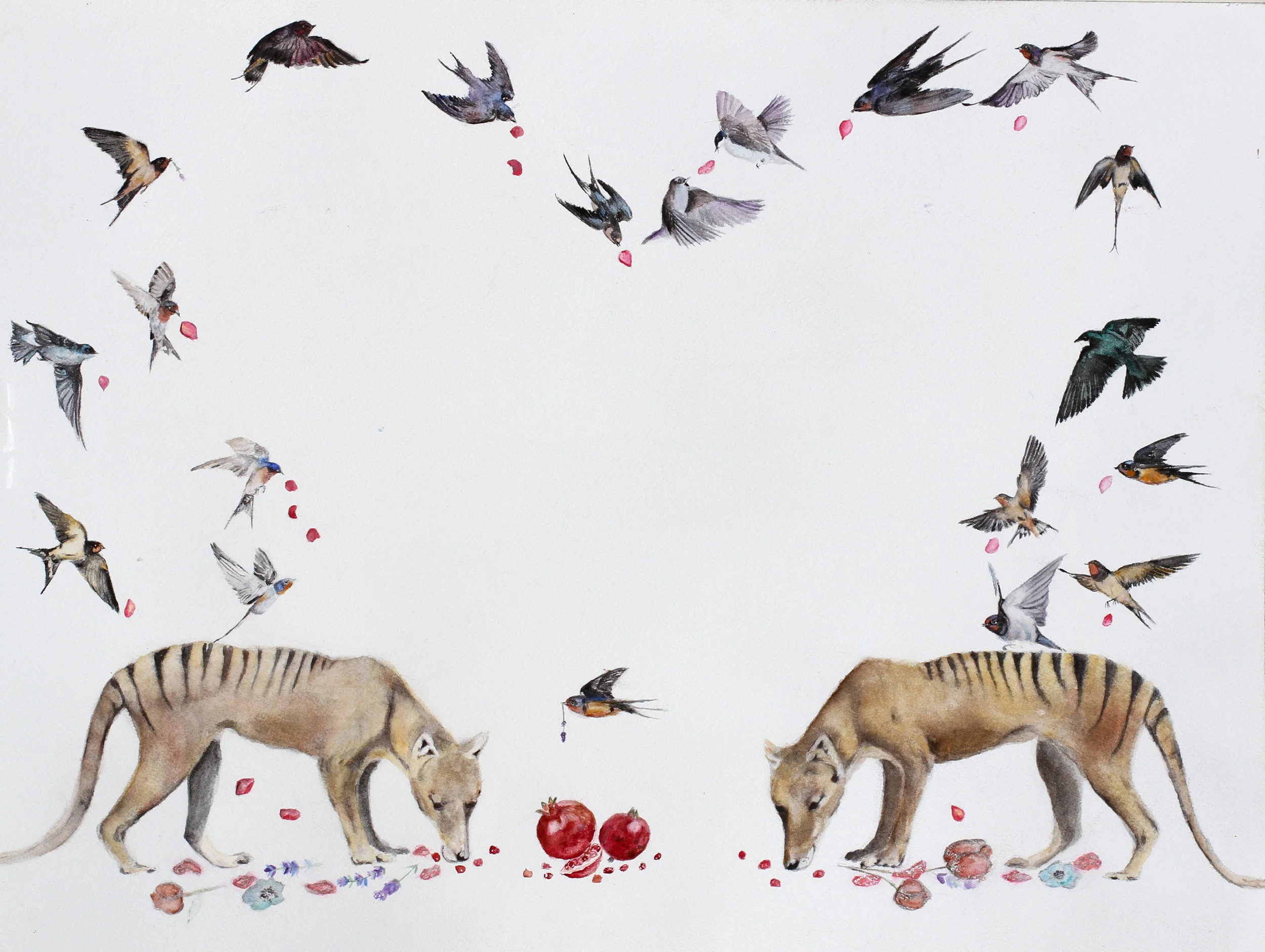 tigers and swallows.jpg